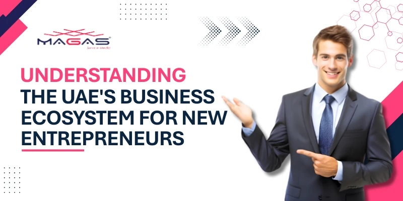 Understanding the UAE's Business Ecosystem for New Entrepreneurs